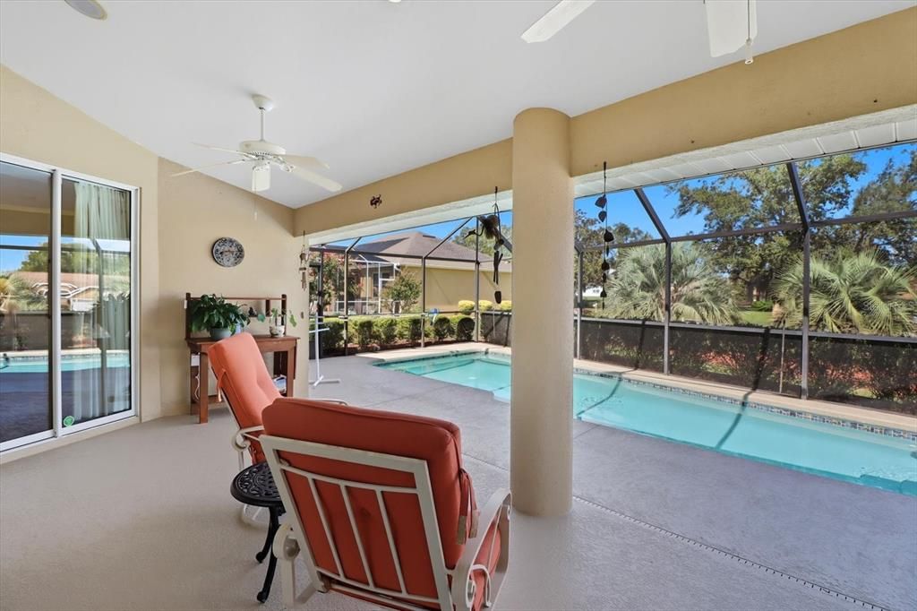 Glass Ceilings, Interior, Pool, Sun Room