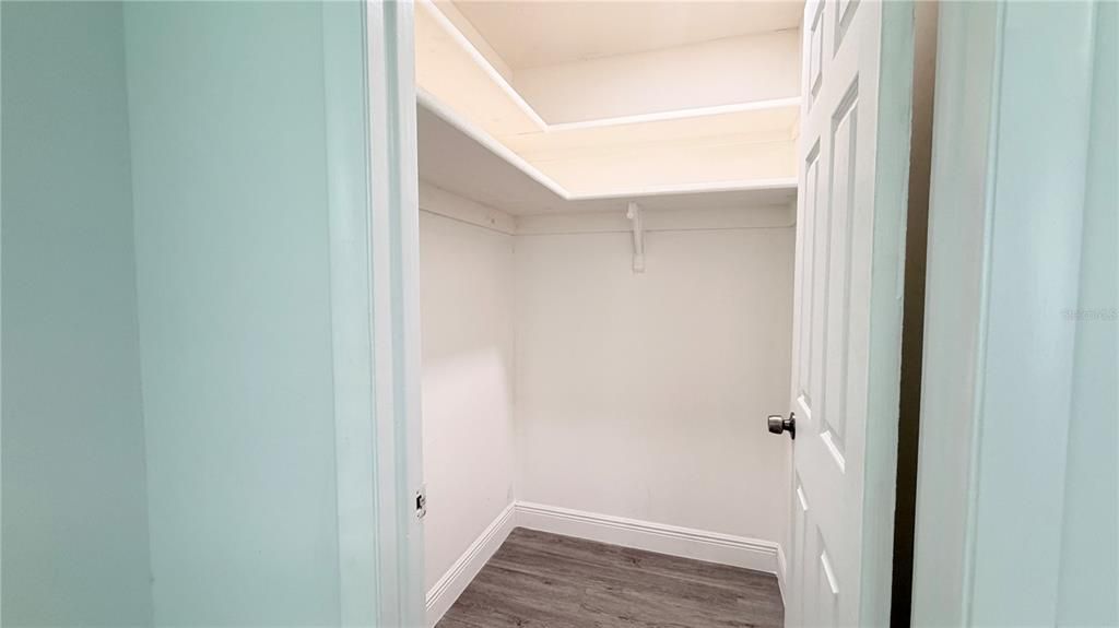 Interior, Walk-in Closets, Wood Texture Flooring