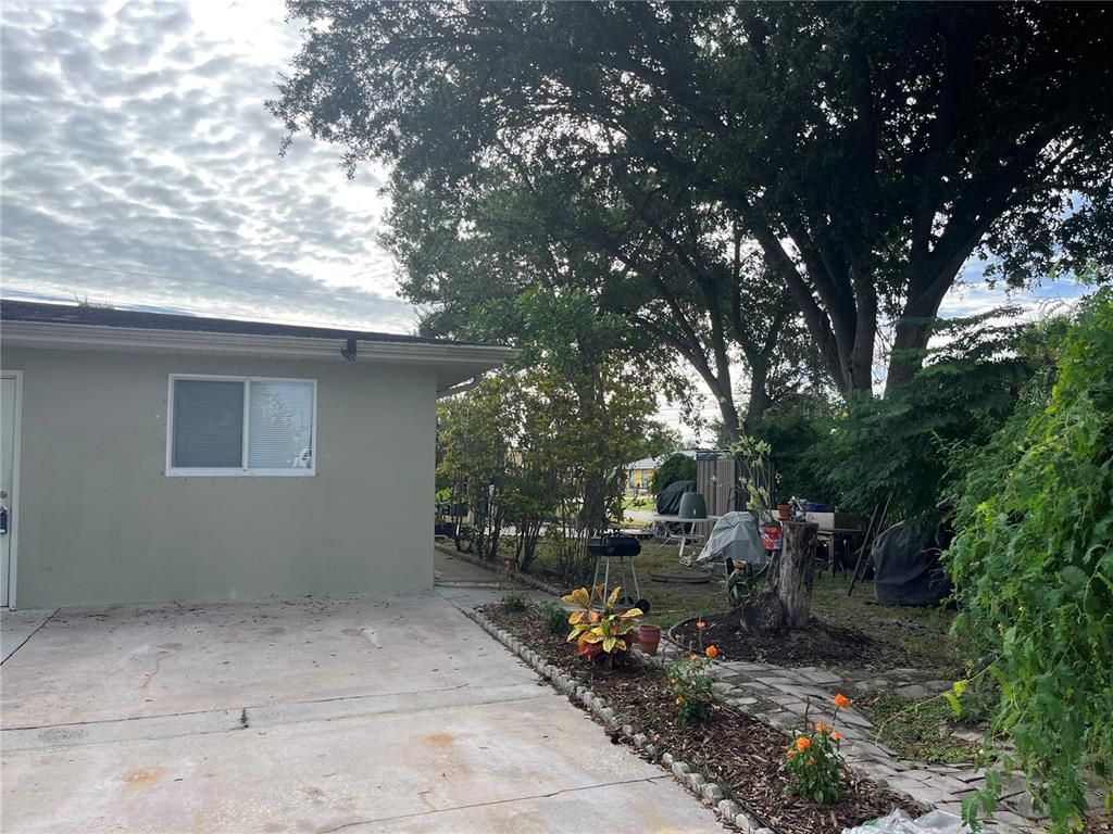 Backyard, Exterior
