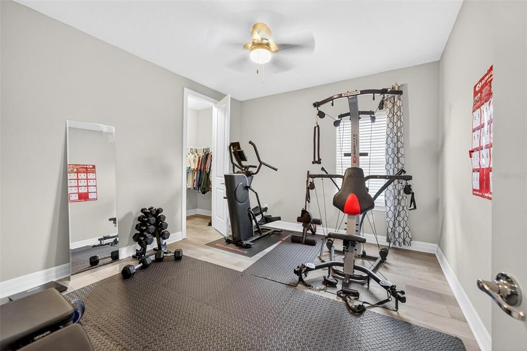 Fitness Equipment, Interior, Wood Texture Flooring