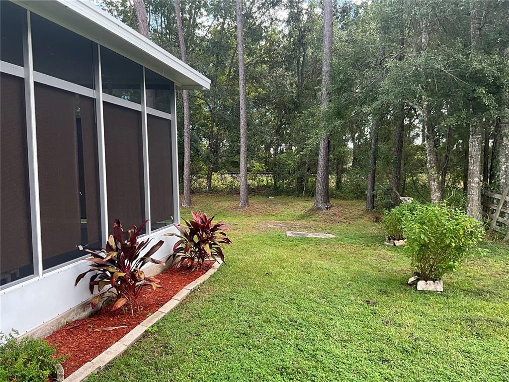 Backyard, Exterior