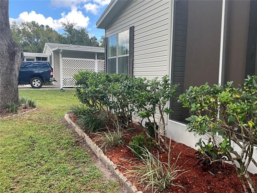 Backyard, Exterior