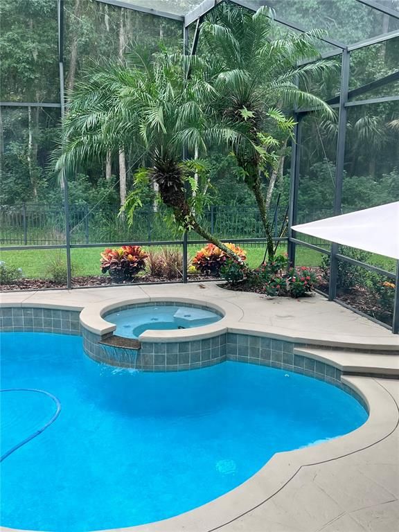 Interior, Pool, Sun Room