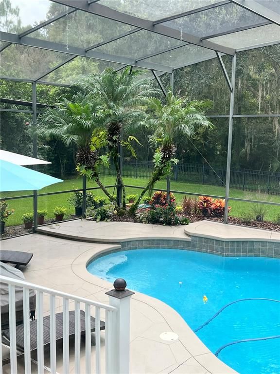 Glass Ceilings, Interior, Pool, Sun Room