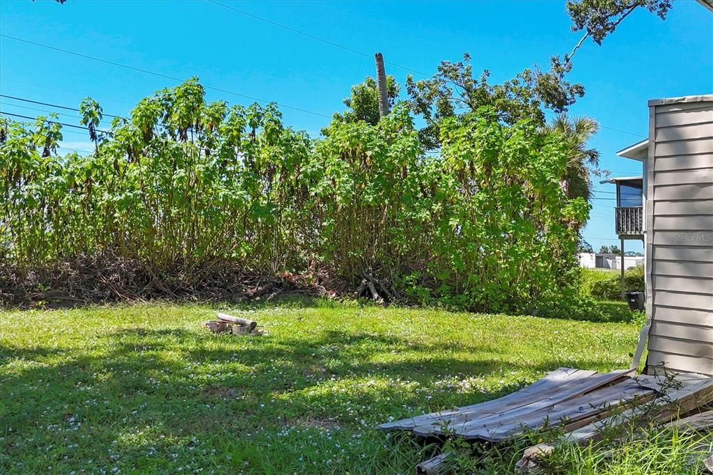 Backyard, Exterior