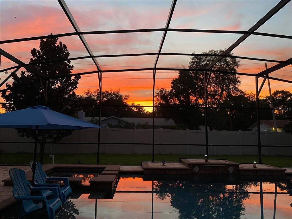 Glass Ceilings, Interior, Pool, Sun Room