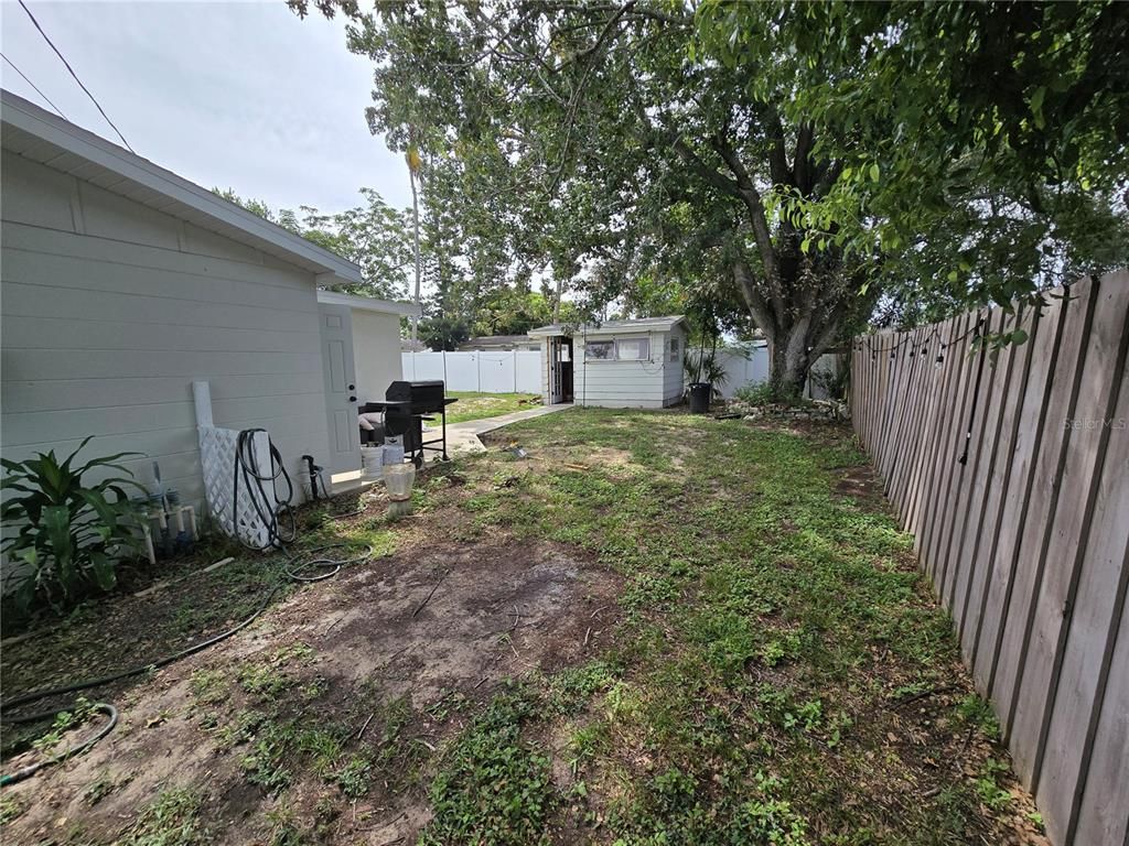 Backyard, Exterior