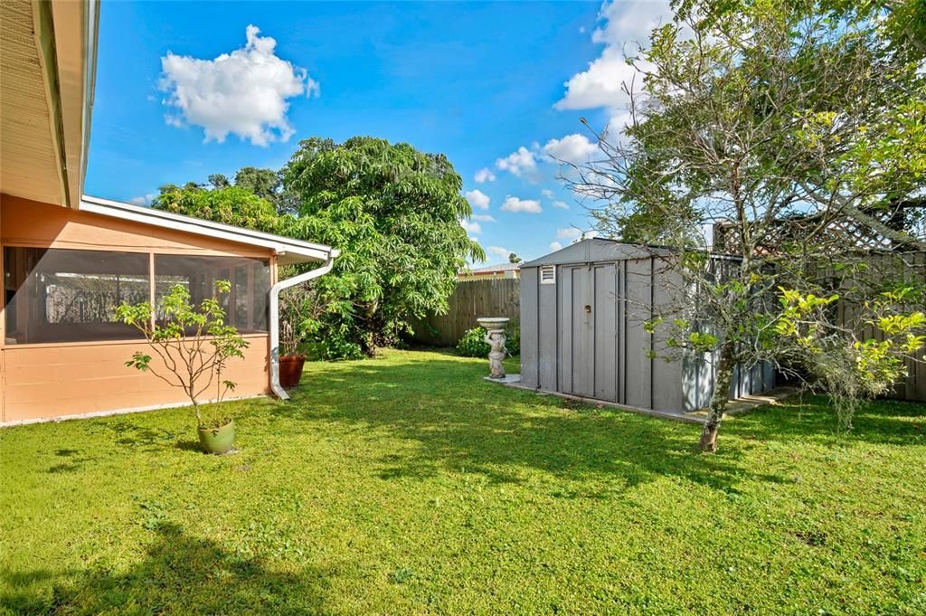 Backyard, Exterior