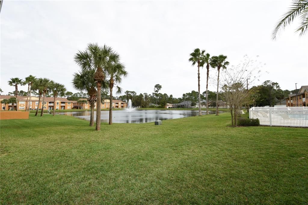 Backyard, Exterior, Water