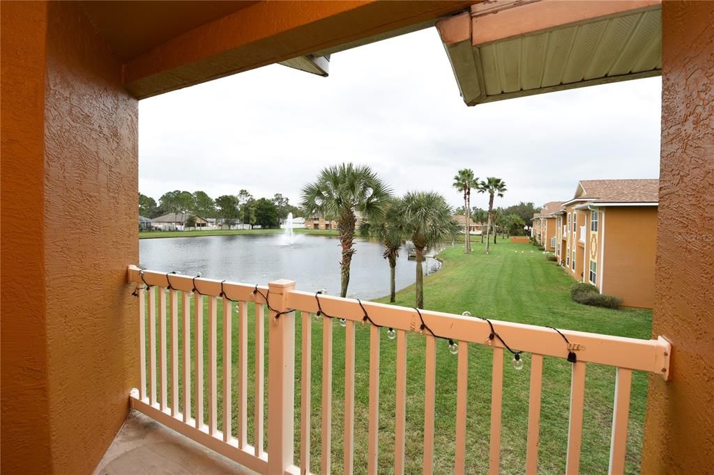 Backyard, Exterior, Water