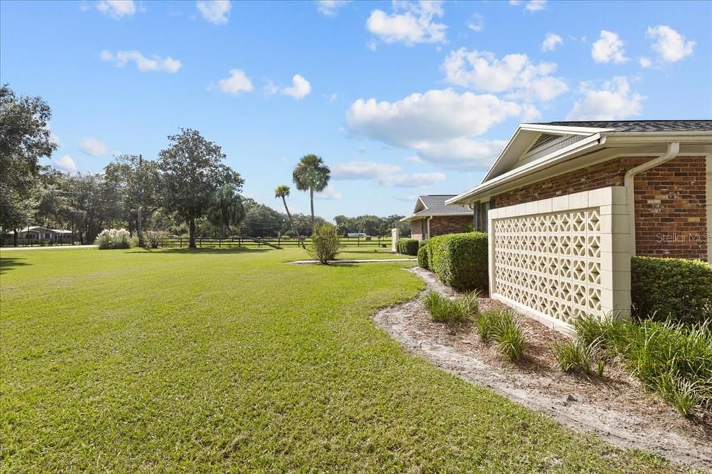 Backyard, Exterior