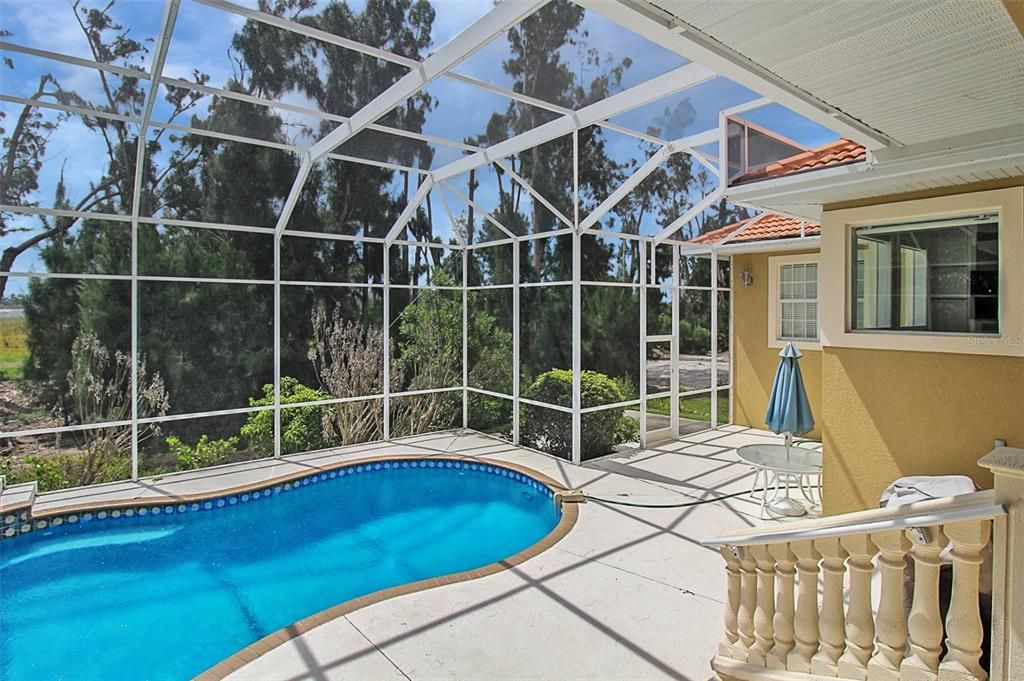 Glass Ceilings, Interior, Pool, Sun Room