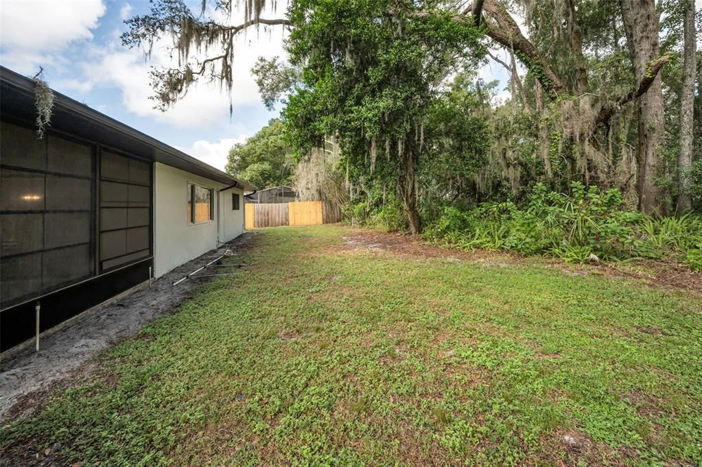 Backyard, Exterior