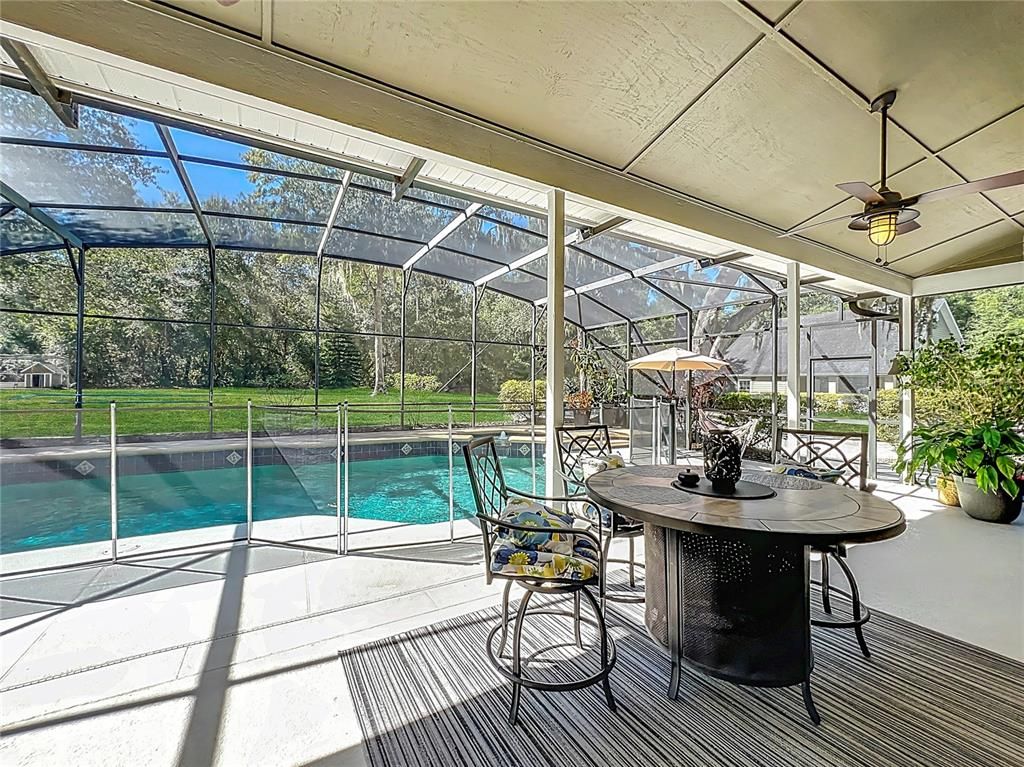 Glass Ceilings, Interior, Pool, Sun Room