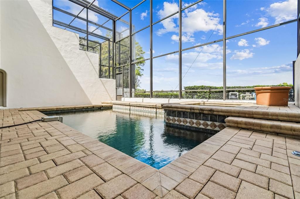 Glass Ceilings, Interior, Pool, Sun Room