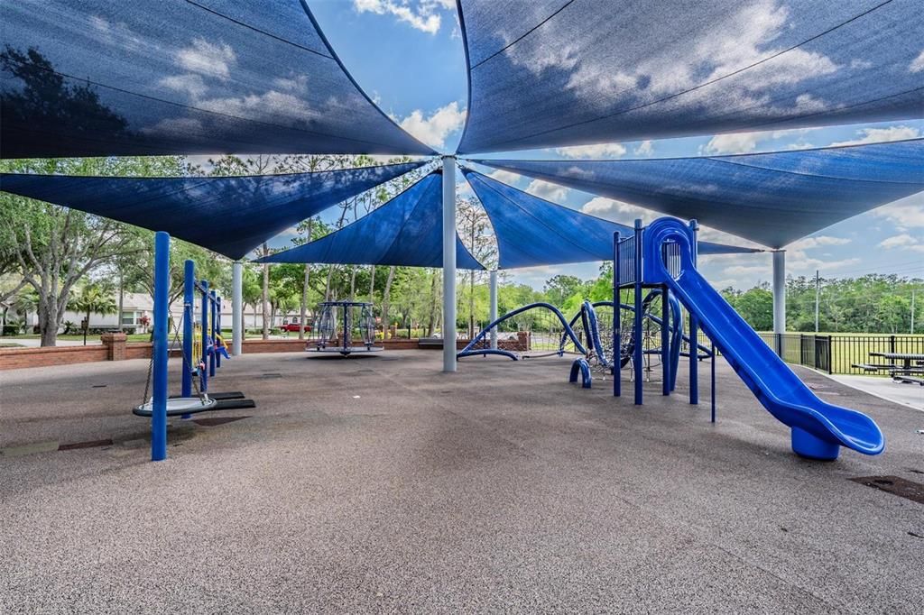 Backyard, Exterior, Playground
