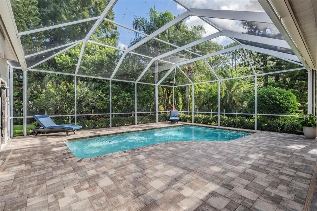 Glass Ceilings, Interior, Pool, Sun Room