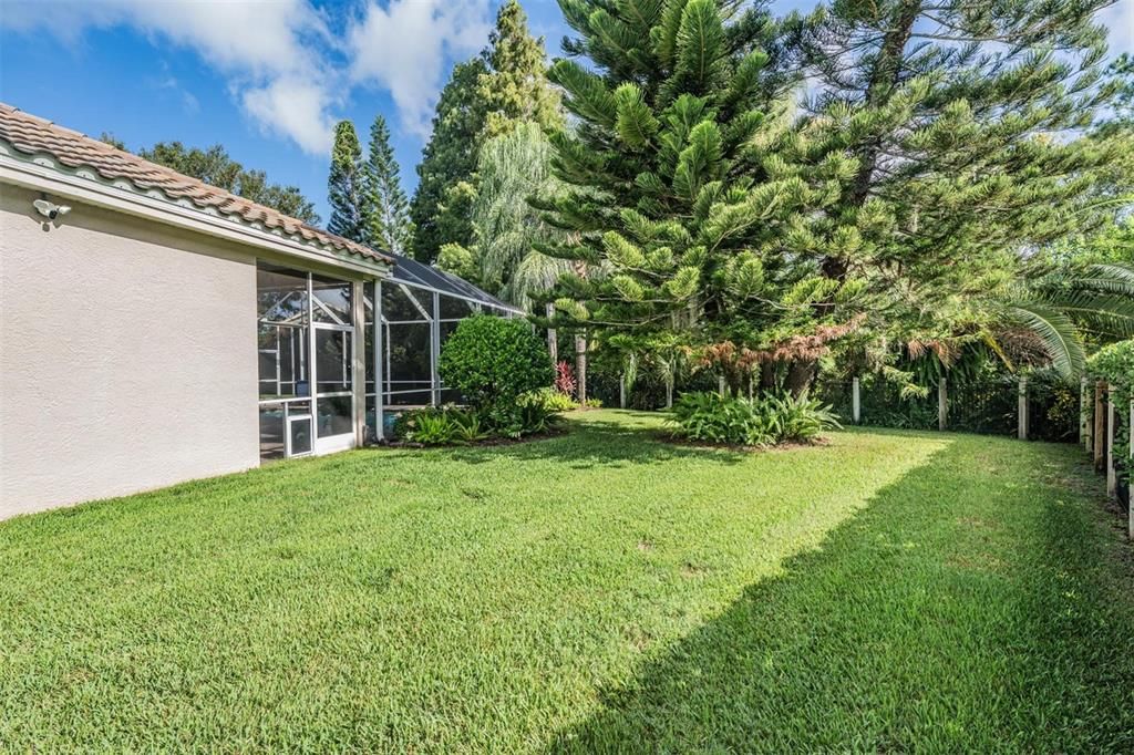 Backyard, Exterior
