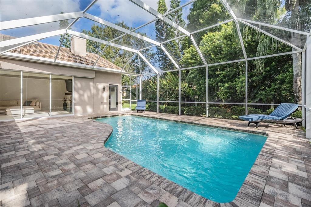 Glass Ceilings, Interior, Pool, Sun Room