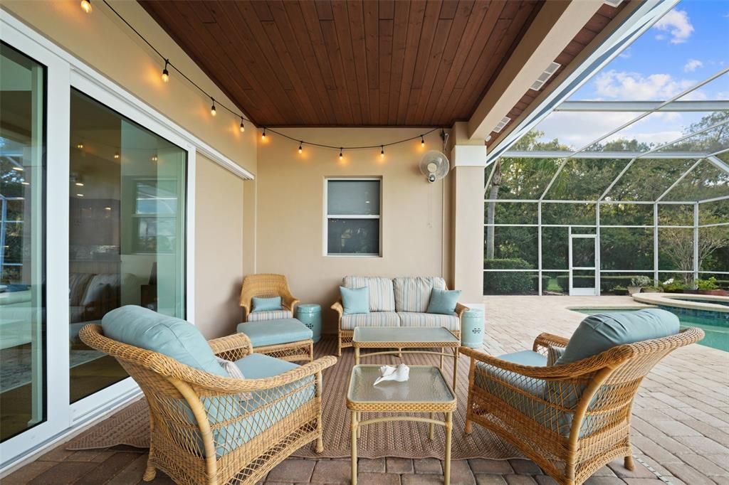 Glass Ceilings, Interior, Pool, Sun Room, Wooden Ceilings