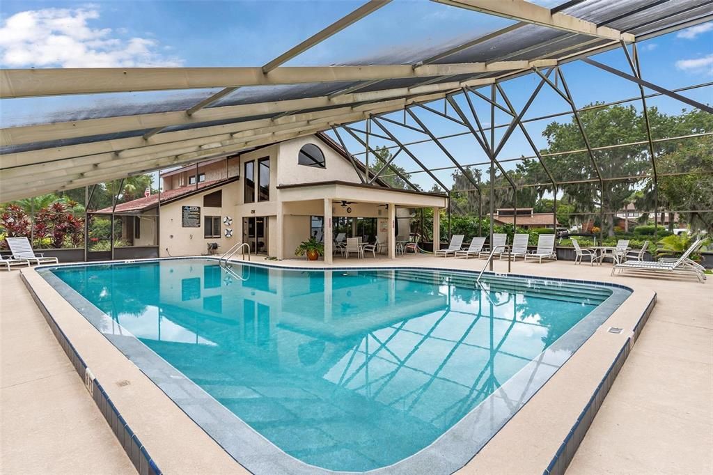 Glass Ceilings, Interior, Pool, Sun Room