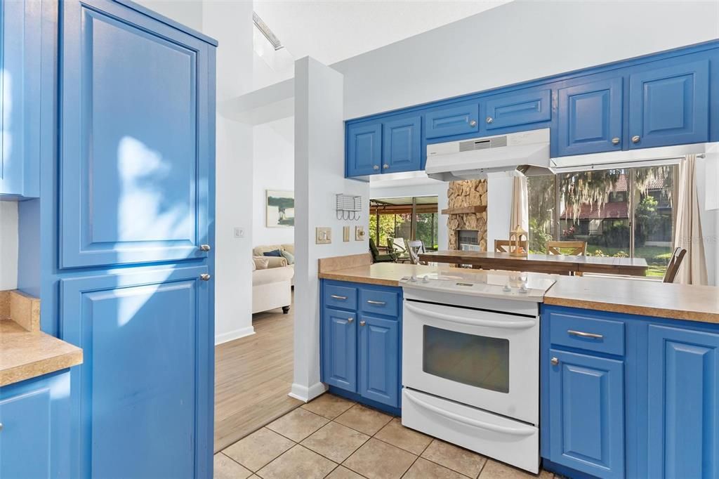 Fireplace, Interior, Kitchen, Wood Texture Flooring