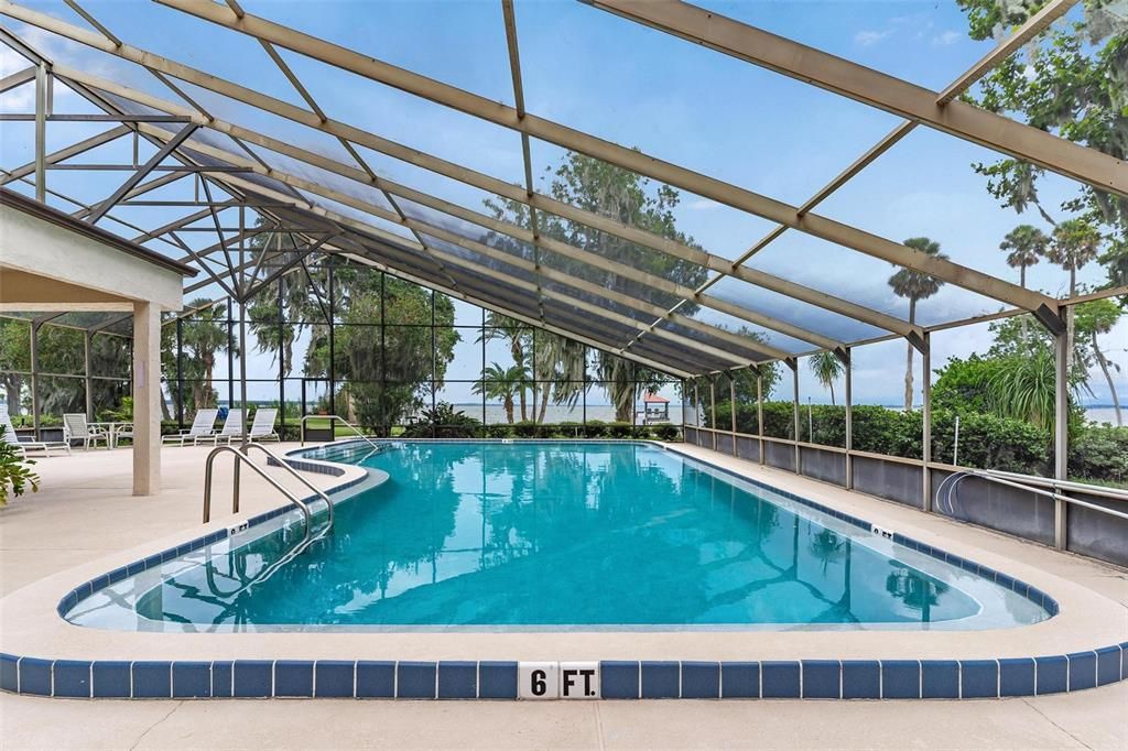 Glass Ceilings, Interior, Pool, Sun Room