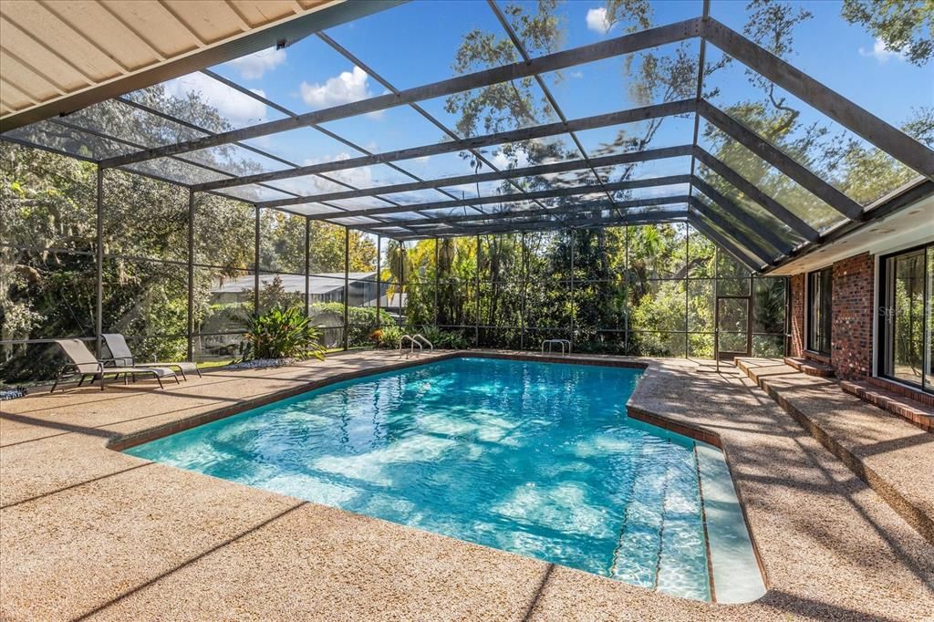 Glass Ceilings, Interior, Pool, Sun Room