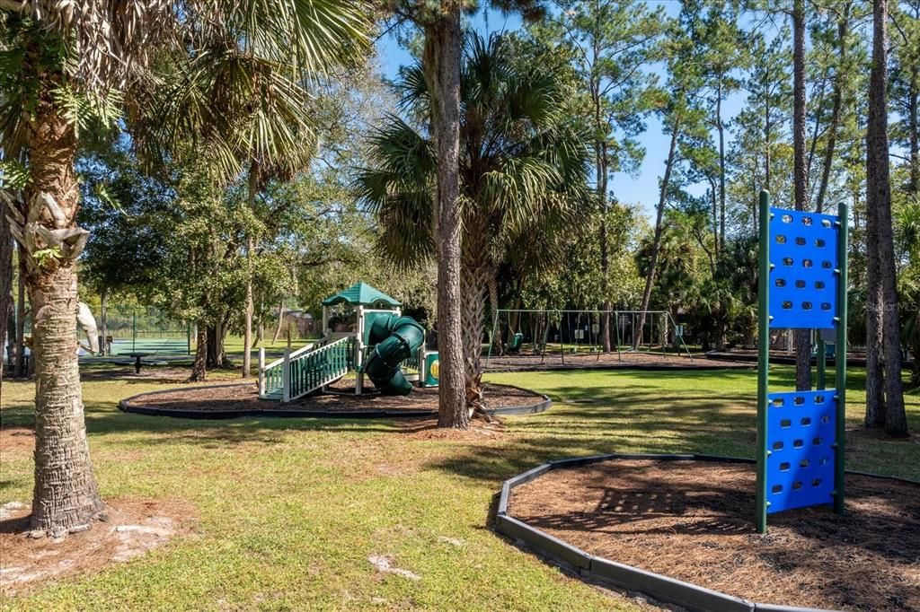 Backyard, Exterior, Playground