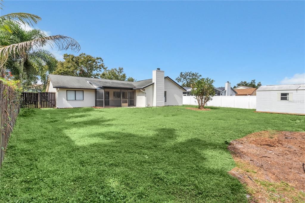 Backyard, Exterior