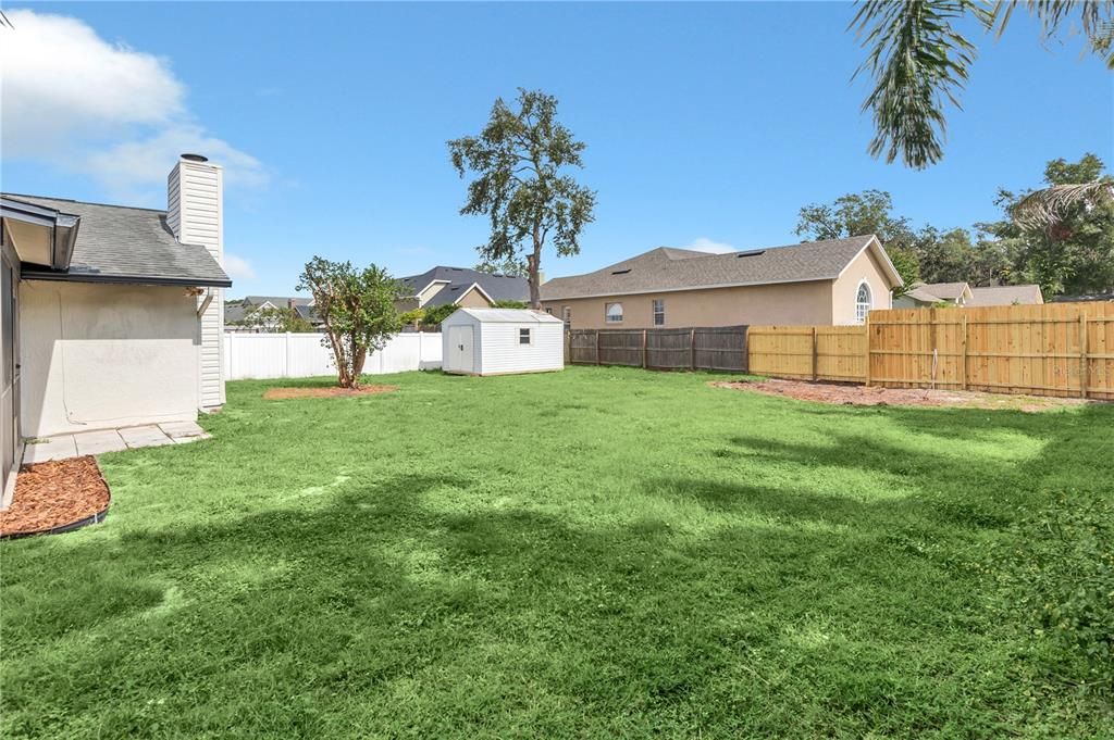 Backyard, Exterior