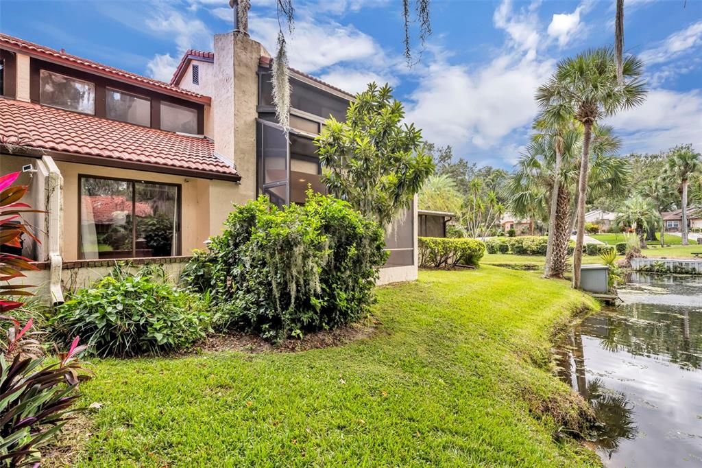 Backyard, Exterior, Water