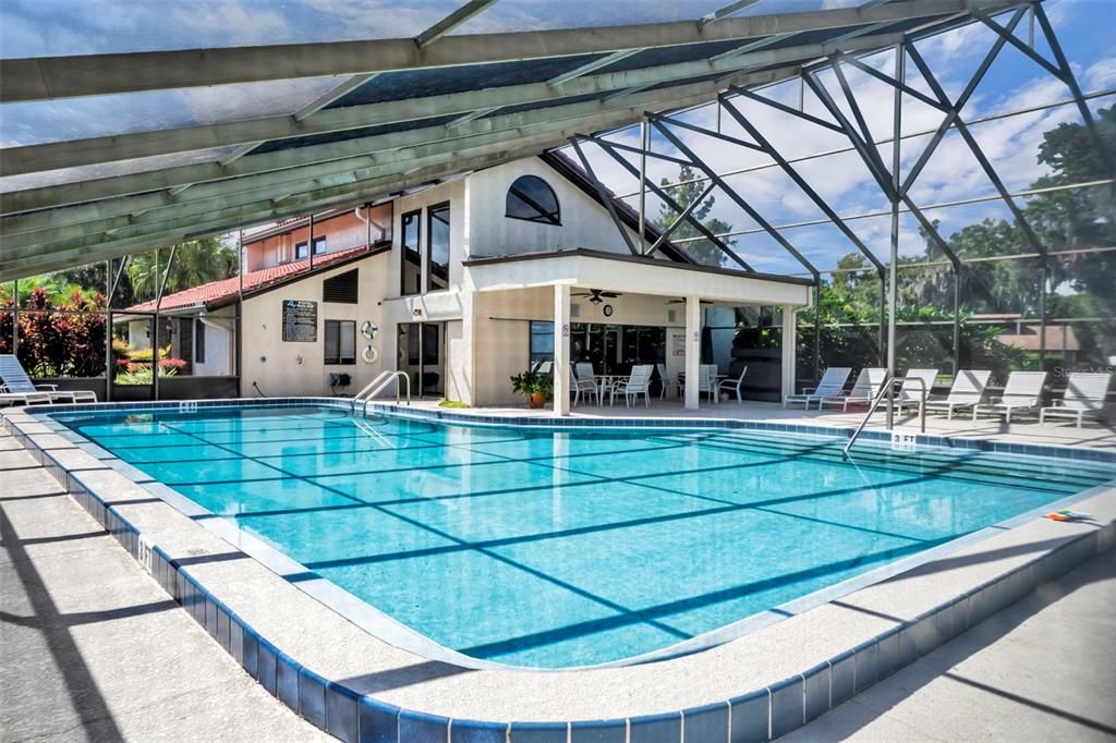 Glass Ceilings, Interior, Pool, Sun Room