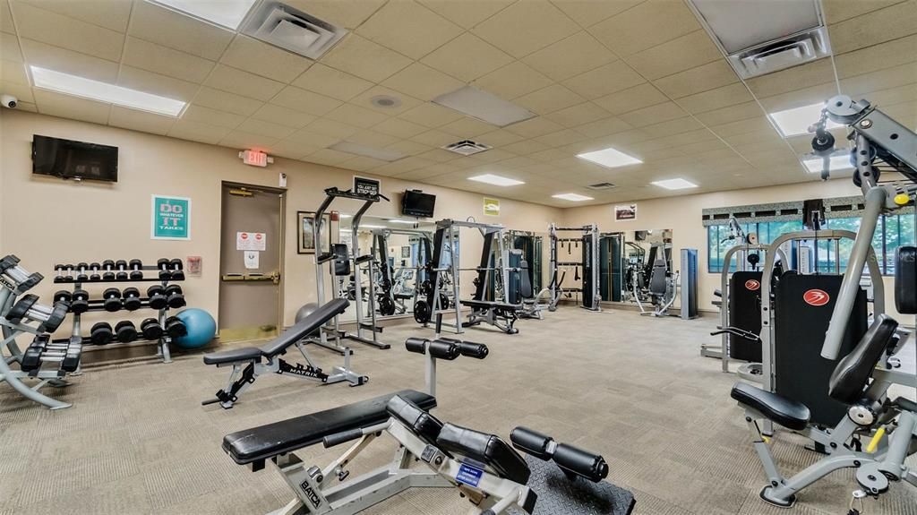 Fitness Equipment, Gym, Interior, Recessed Lighting