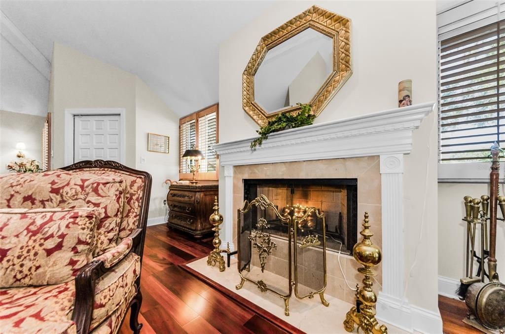 Fireplace, Interior, Wood Texture Flooring