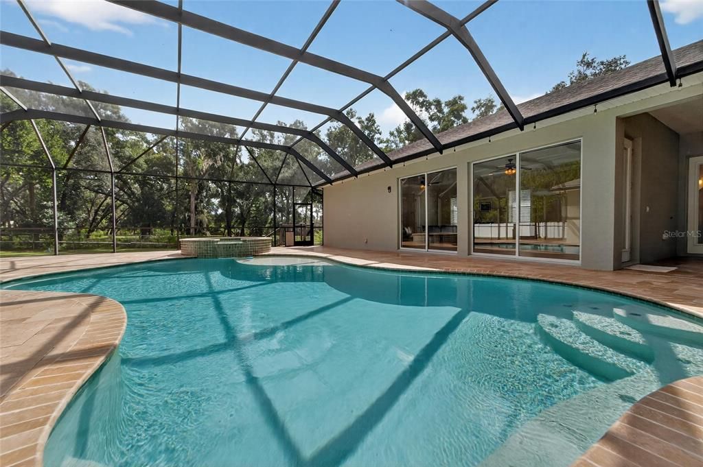Glass Ceilings, Interior, Pool, Sun Room