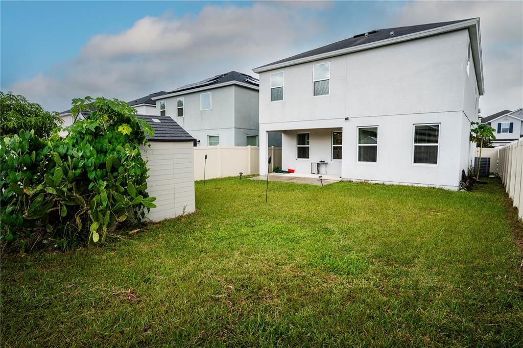 Backyard, Exterior