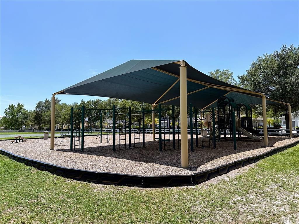 Backyard, Exterior, Playground