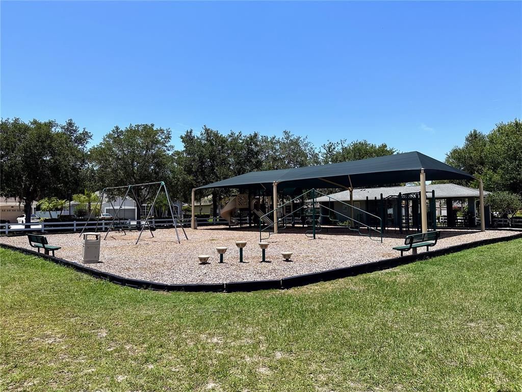 Backyard, Exterior, Playground