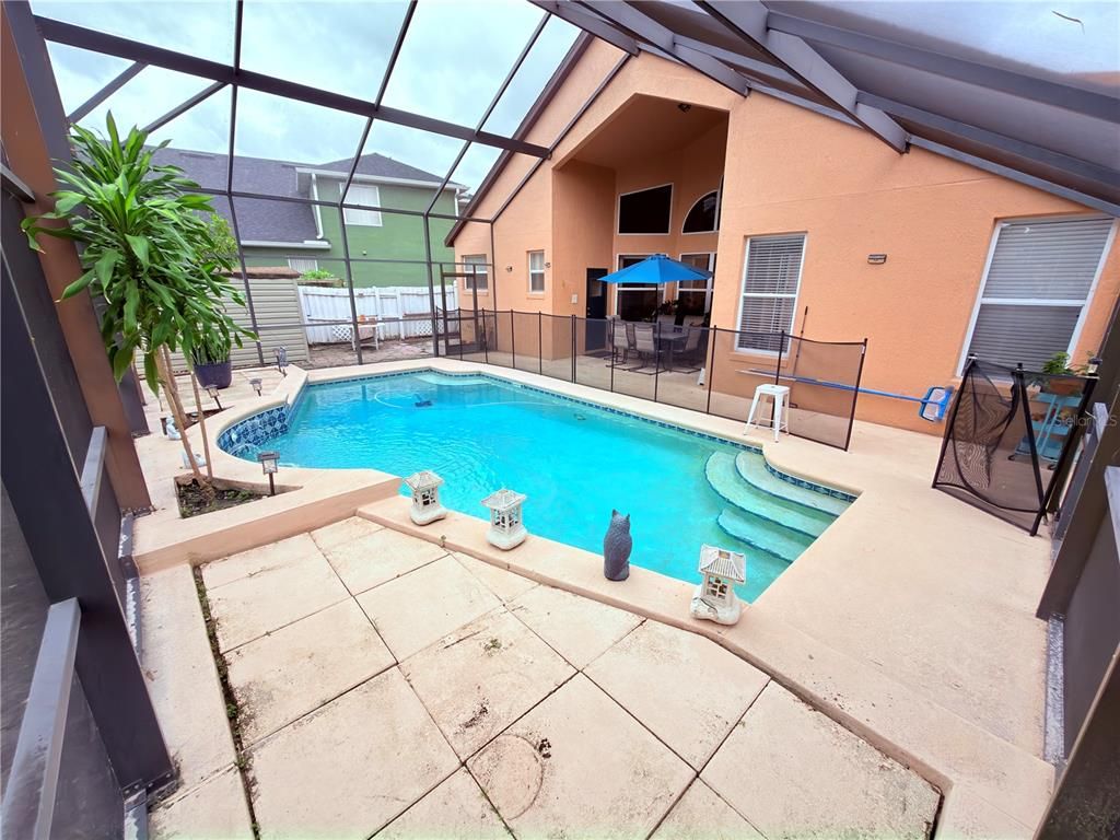 Glass Ceilings, Interior, Pool, Sun Room