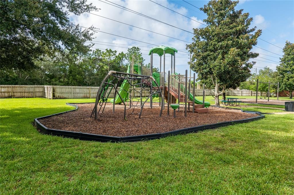 Backyard, Exterior, Playground