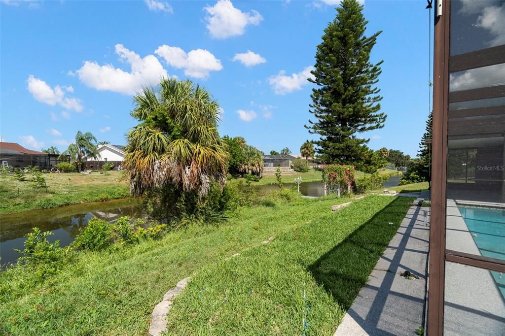 Backyard, Exterior, Water