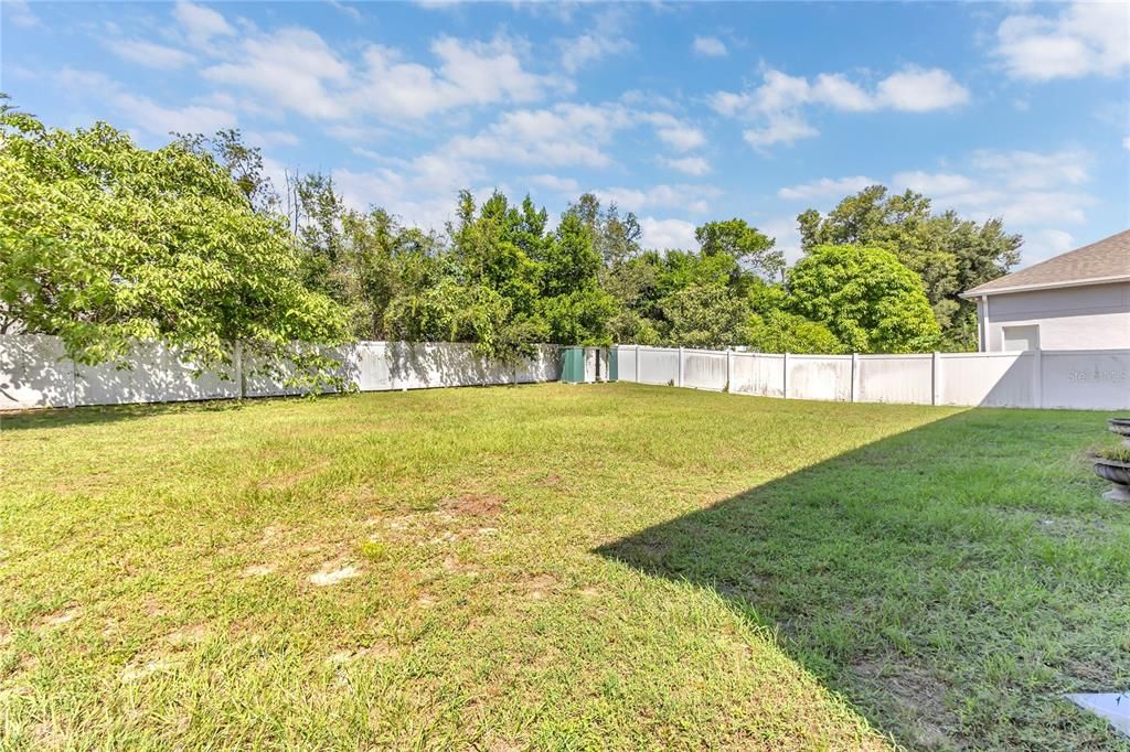 Backyard, Exterior