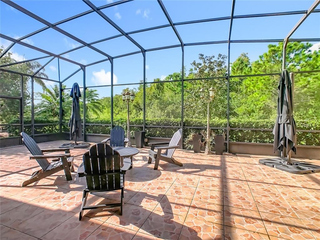 Glass Ceilings, Interior, Sun Room