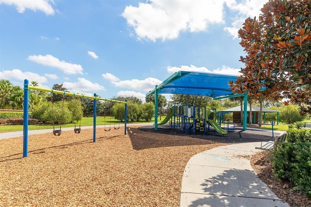 Backyard, Exterior, Playground
