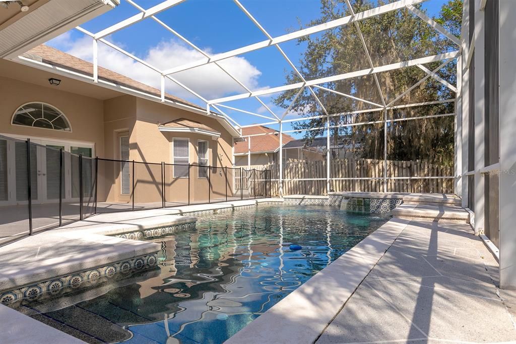 Glass Ceilings, Interior, Pool, Sun Room