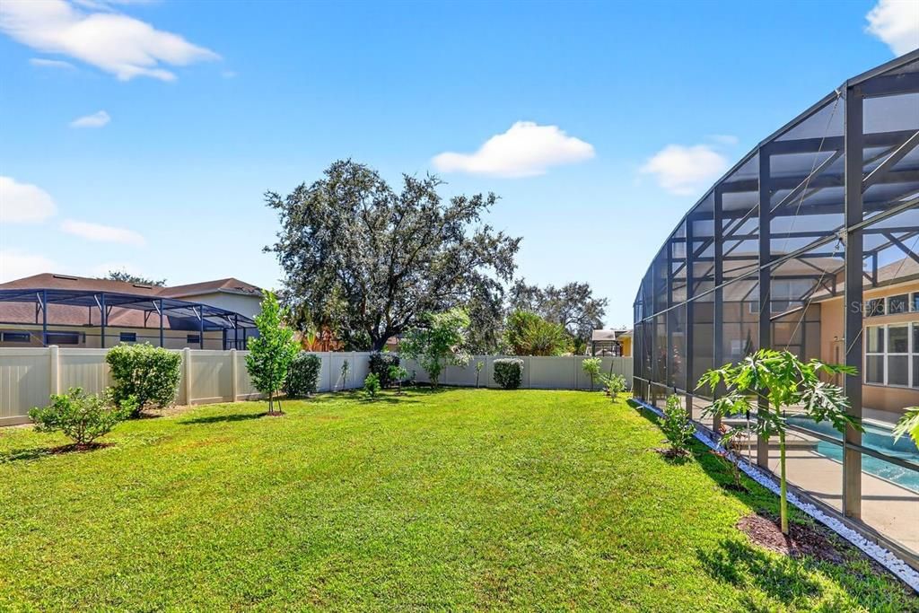 Backyard, Exterior
