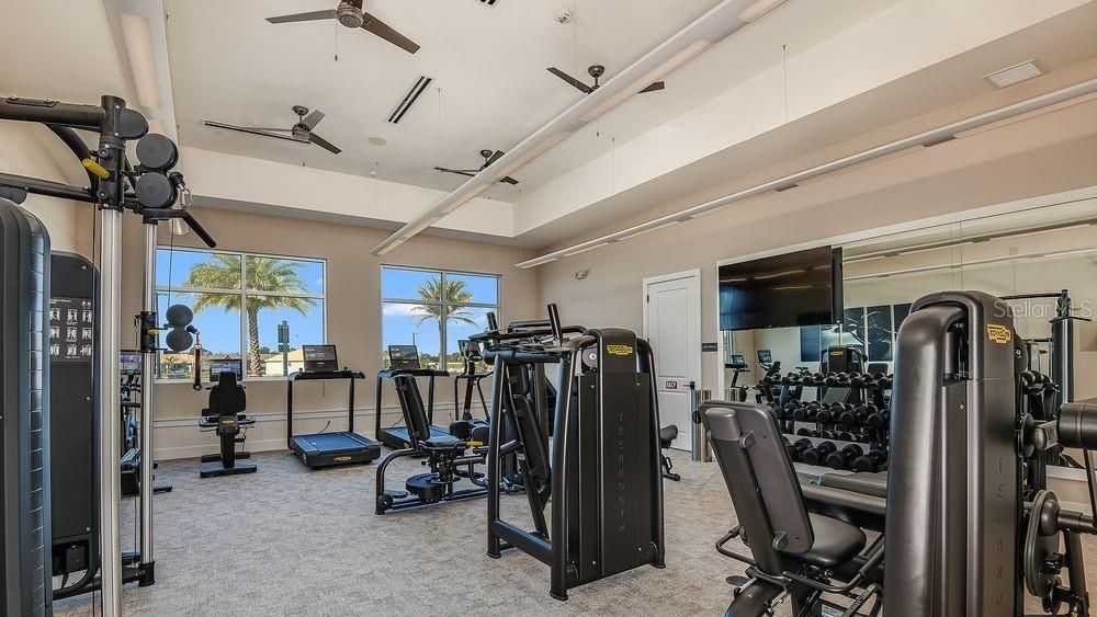 Fitness Equipment, Gym, Interior