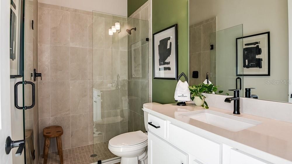 Bathroom, Glass Shower, Interior