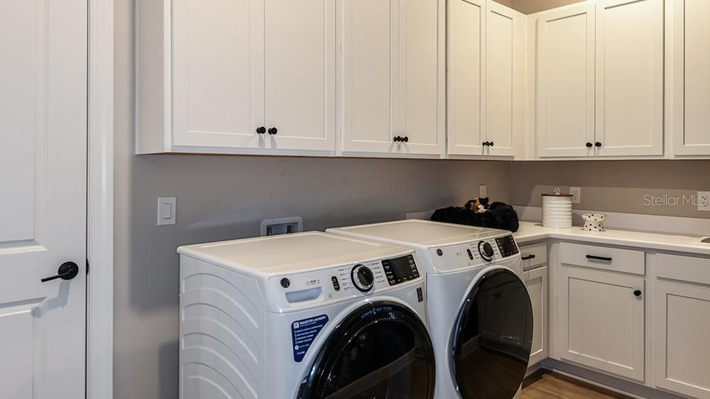 Interior, Washer, Wood Texture Flooring